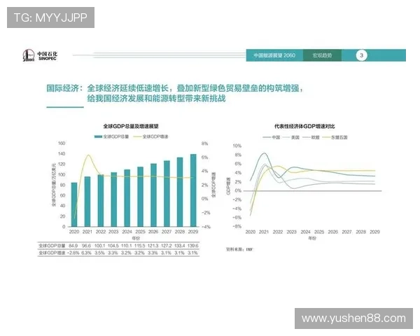 杭州篮球队在钻石联赛中的耐力表现分析与未来展望 杭州篮球队在钻石联赛中的耐力表现分析与未来展望