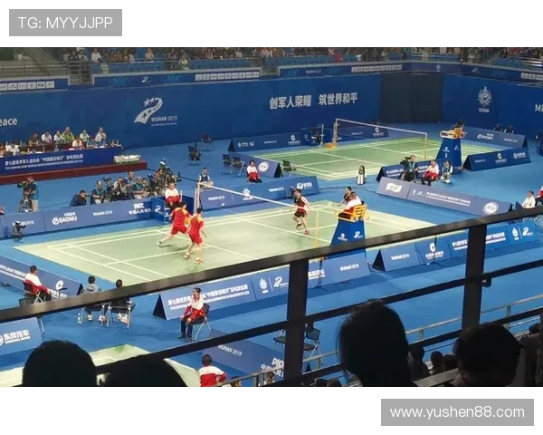 武汉羽毛球队反击之路：成败得失与未来展望